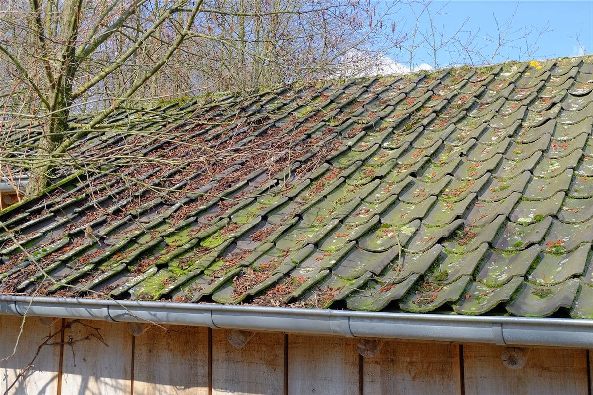 Démoussage de toiture à Rennes (35)